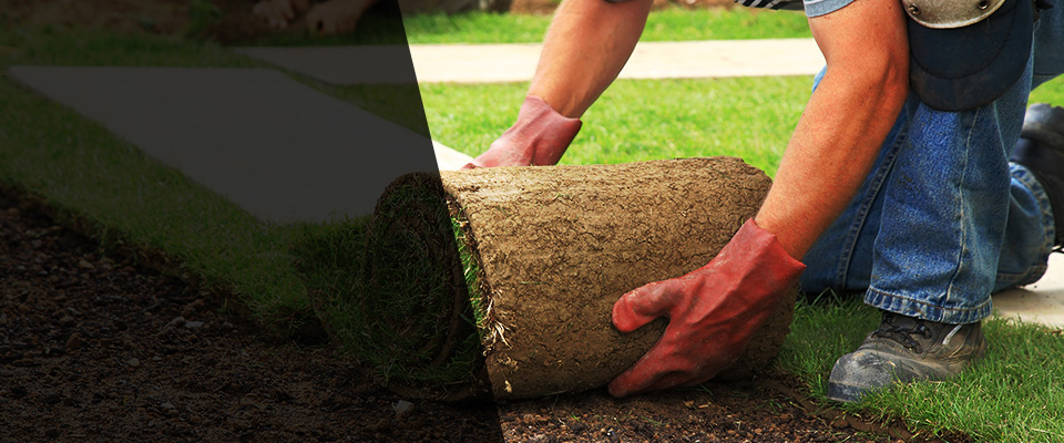 Como Landscapers